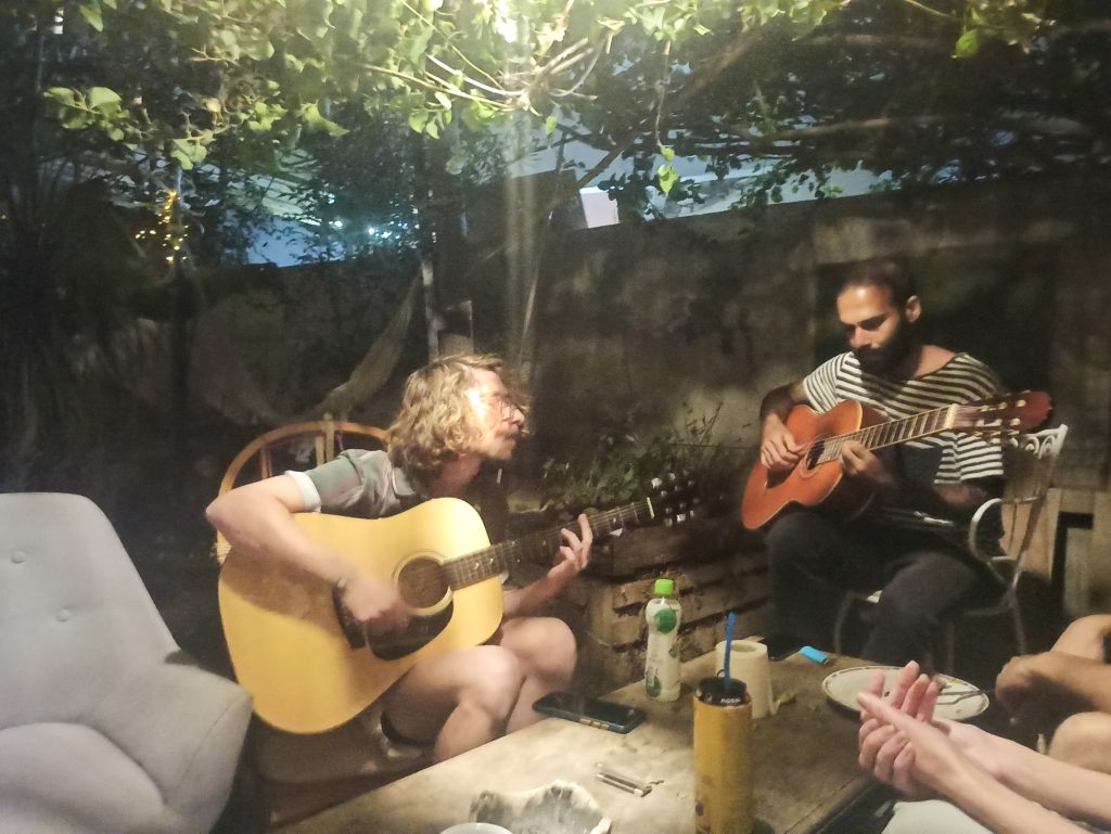Two men playing the guitar in the garden